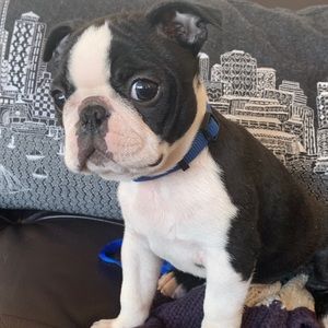 Meet your Posher, Adam